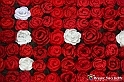 VBS_9678 - Infiorata di Villanova d'Asti 2023